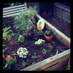 Day One Early Learning Centre Dakabin