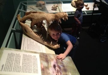 brisbane museum for kids