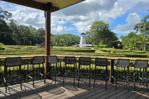 Seating at viewing area overlooking the main hedge maze and windmill at Amaze World.