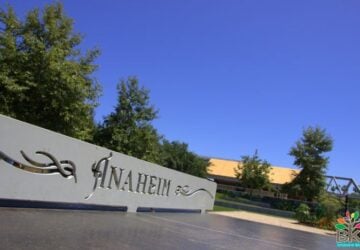 Things to do in Anaheim for families