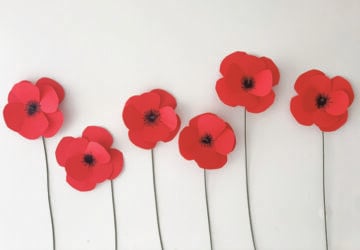 paper anzac poppy