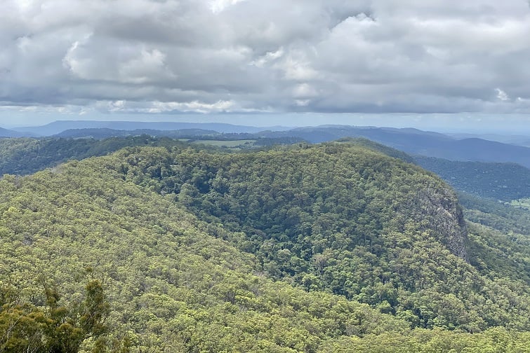 A picture of the views from Binna Burra