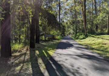 Tamborine Mountain Cedar Creek Falls wheelchair accessible paths at start of track.