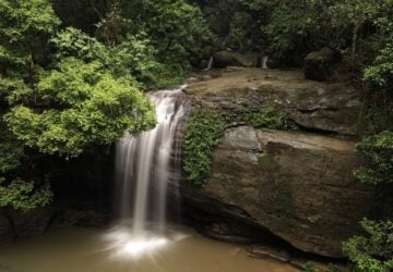 buderim falls sunshine coast waterfall
