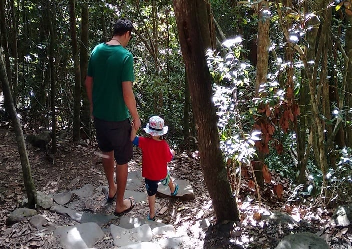 bushwalk for kids to buderim falls
