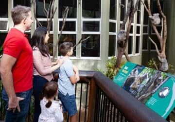Daisy Hill Koala Centre
