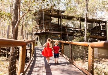ramp into daisy hill koala centre