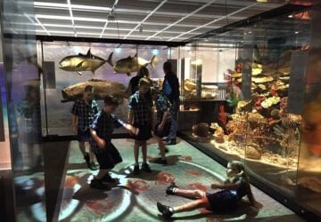 wild state qld museum