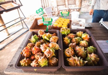 forest dragon fruit farm things to buy