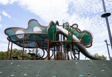 Fig Tree Park Aura Fig Tree Structure