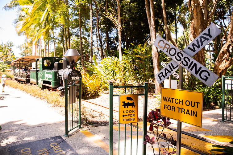 Ginger Factory Train Ride
