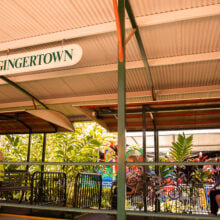 ginger factory gingertown station