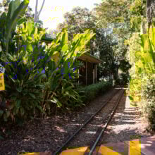 ginger factory train tracks