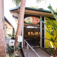 ginger factory bee show