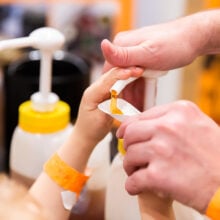 ginger factory bee show honey tasting close up