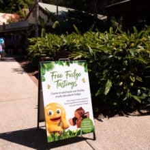 ginger factory free fudge tasting sign