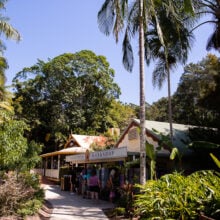 ginger factory gift shops