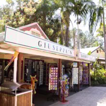 ginger factory toy shop