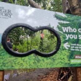 Binocular cutout on the Zog trail at The Ginger Factory.