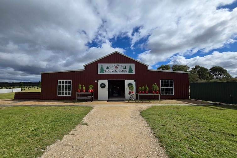 Fraser's Fresh Harvest Barn at Granite Belt Christmas Farm.