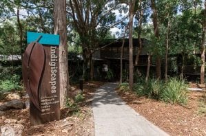 entrance of indigiscapes