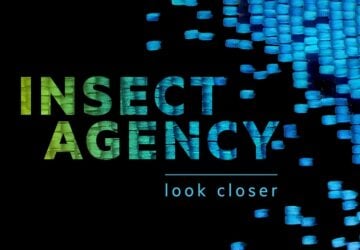 Insect agency event image of close up of butterfly wing and logo in blue and green.