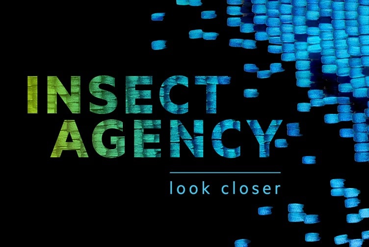 Insect agency event image of close up of butterfly wing and logo in blue and green.