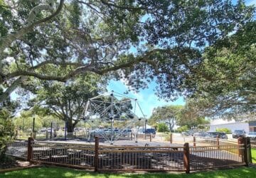 Fenced Lions Park with shade provided from large tree.