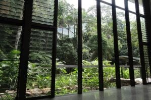 mary cairncross, environment centre, view outside