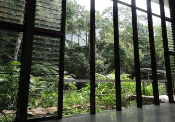 mary cairncross, environment centre, view outside