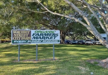 Northey Street City Farm sign under the trees.
