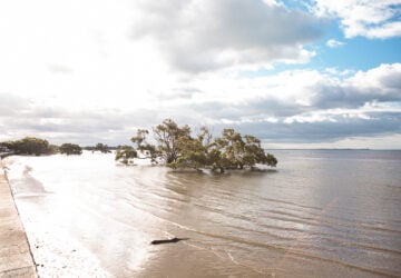 Nudgee beach water view