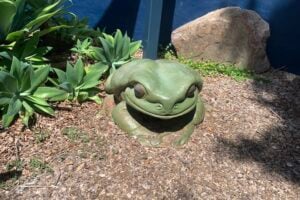Frog statue on the grounds at Opals Down Under.