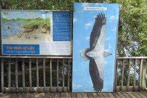 Osprey House amphitheatre 2