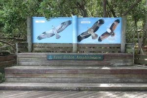 Osprey House amphitheatre 3