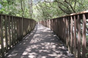 Osprey House boardwalk 2