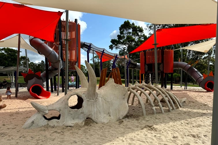 Riverdale Park Dinosaur Playground, image of dinosaur fossil.