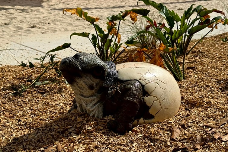 dinosaur egg sculpture