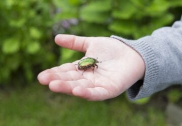 sensory processing disorders in children