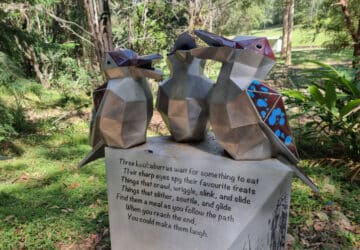 simpson falls mount coot-tha kookaburras