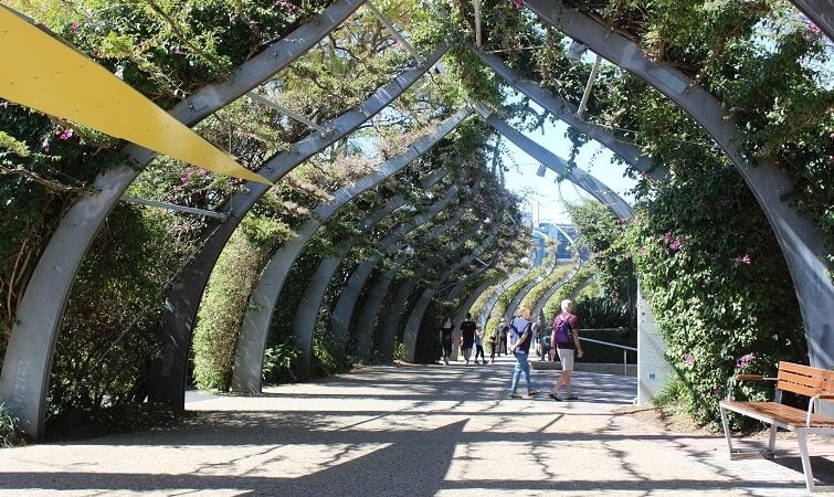 fun things to do at South Bank