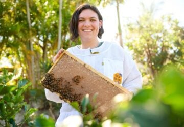 Teralba Park Honey Amber with rack from hive.