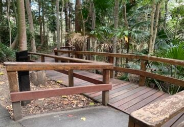 Boardwalk at Walkabout Creek.