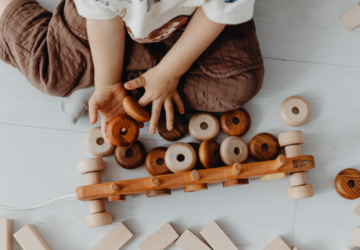 Best toy shops in Brisbane wooden toys.