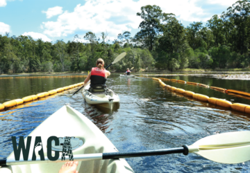Walkabout Creek Adventures kayakers in Enoggera Reservoir.