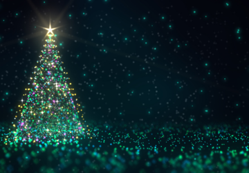 Christmas lights tours in Brisbane Christmas tree.