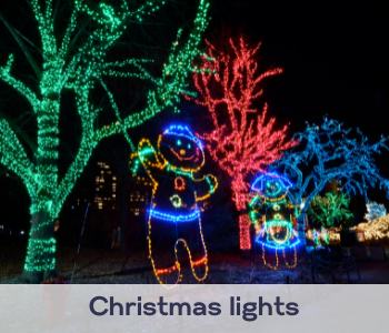 christmas lights brisbane