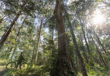 logan bike trails queensland