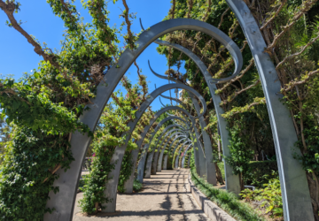 South Bank Parklands Arbour.