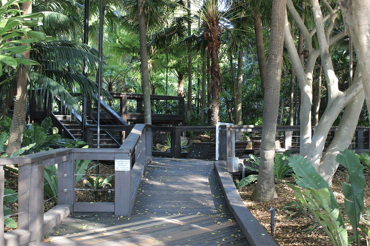 southbank rainforest.